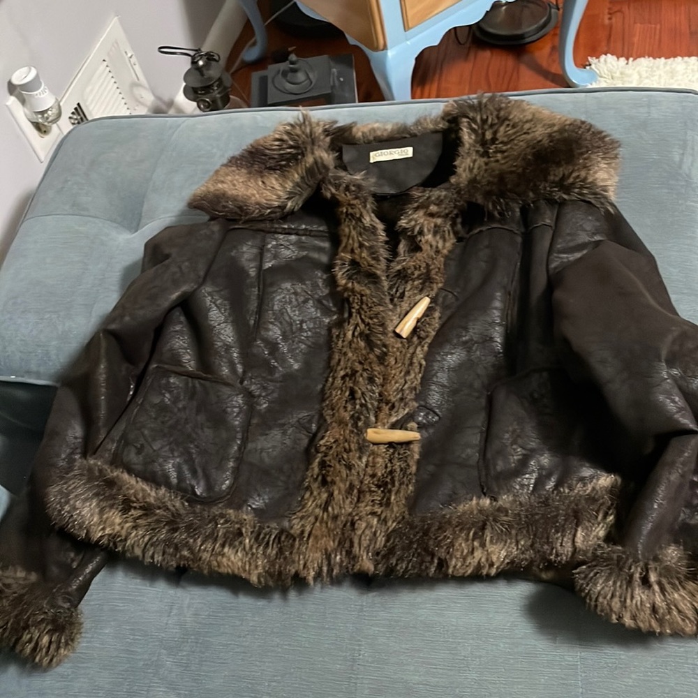 Giorgio Itália colt, dark brown with fur color, medium.
